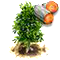 redalder_upgrade_0.png
