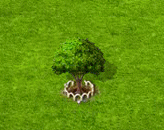 redanjou_upgrade_1.gif