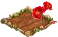redorchid.png
