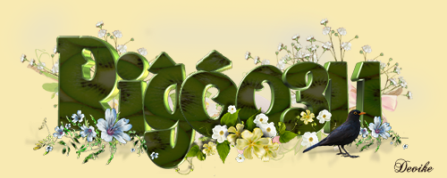 rigo2.png