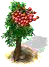 rowantree_upgrade_0.png