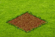 rozsa.gif
