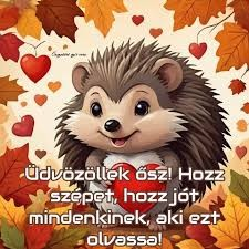 süni szeptember1.PNG