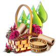 s5.png