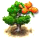 seabuckthorn_upgrade_0.png