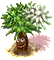 silvertree_upgrade_0.png