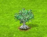 Sivatagi rózsaszirom.gif