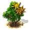 sweetgum_upgrade_0.png