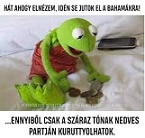 száraztó.jpg