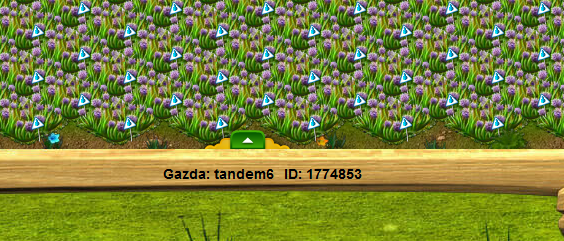 tandem6.png