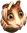 tengerimalac.png