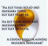tojás.jpg