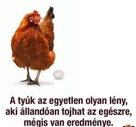 unnamed (3)gtyúkg.jpg