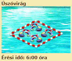 upload_2020-7-23_1-2-27.png