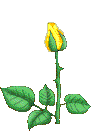 upload_2020-8-18_13-28-26.gif
