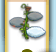 upload_2021-10-15_14-37-26.png