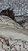 upload_2021-3-22_18-19-27.jpeg
