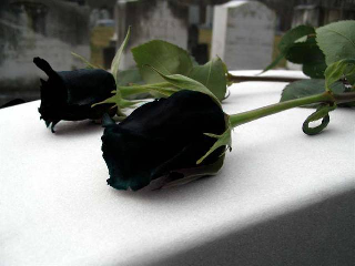 upload_2021-9-2_18-18-46.png