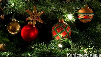 upload_2024-12-25_8-58-32.jpeg