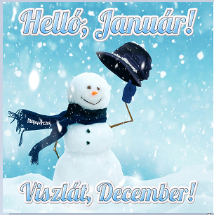 upload_2024-12-27_12-12-19.png