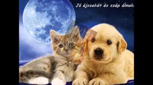 upload_2024-8-21_20-37-42.jpeg