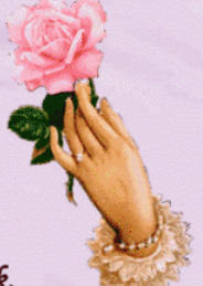 upload_2025-7-29_20-12-41.png