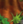 upload_2026-1-31_10-38-54.png