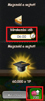 várakozás vagy gyorsít.png