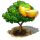 wampee_upgrade_0.png