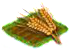 wheat.png