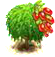 wolfberry_upgrade_0.png