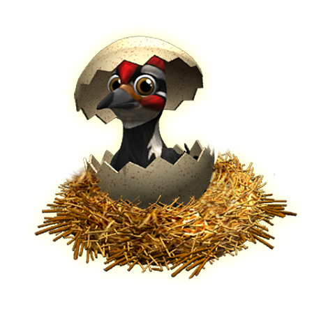woodpecker_layer.png