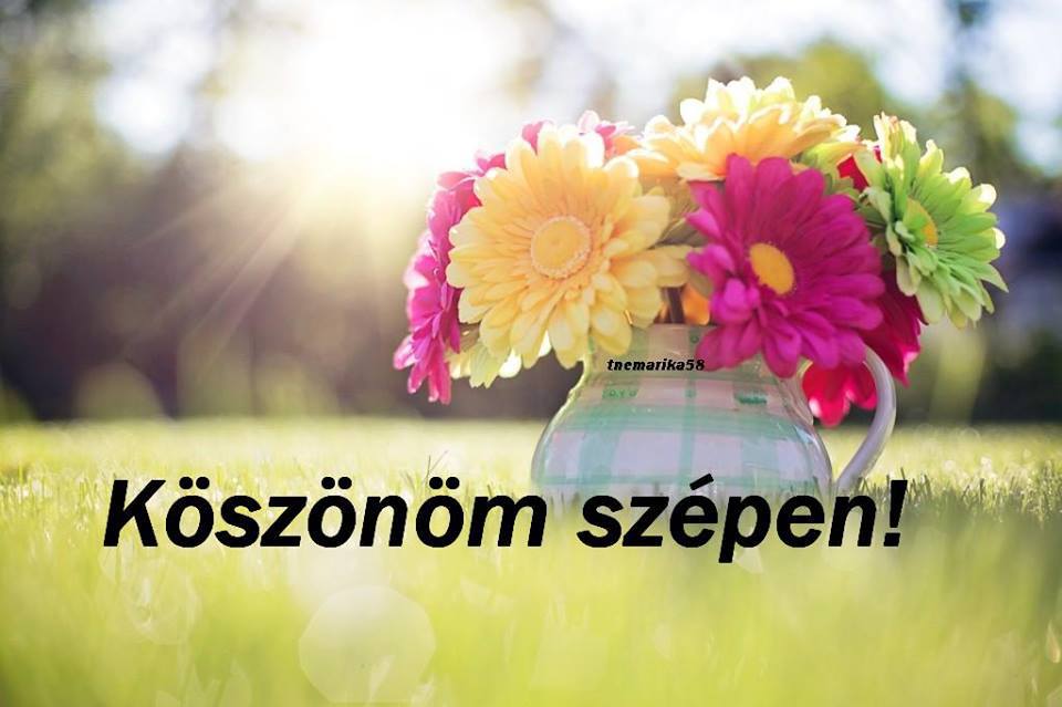www.tvn.hu_4564461b93eba57f3338be11604052c0.jpg