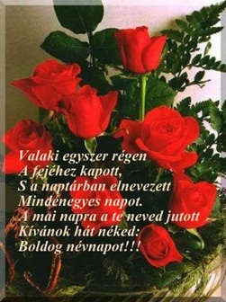 www.tvn.hu_752551b6f1956e6719f323ee817de351.jpg