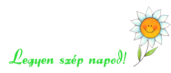 www.tvn.hu_d90aad297278bc62dd07a4d68b1d736eg.gif