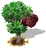 yangmei_upgrade_0.png